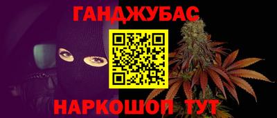 гидра Новозыбков