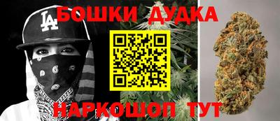 гидра Новозыбков