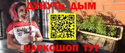 гидра Новозыбков