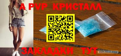 гидра Новозыбков