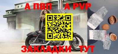 гидра Новозыбков