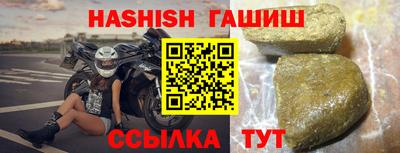 гидра Новозыбков
